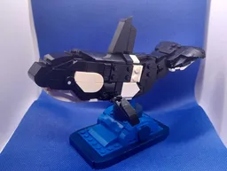 Orca (Killer Whale) on stand