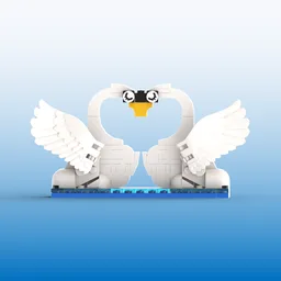 Swans in Love
