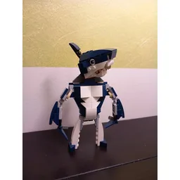 Gym Shark