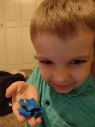 Mini Turtle 30343