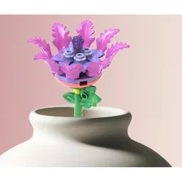 Rhododendra