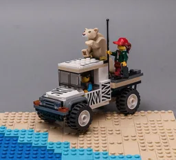 60267 African Pickup