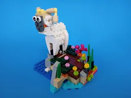 40593 - Sheep