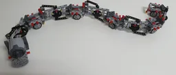 Technic Snake