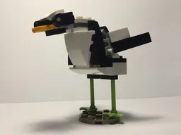 30641 Duck
