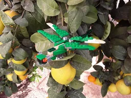 31058 - Dragonfly