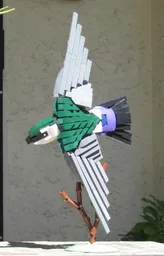 Violet-green Swallow