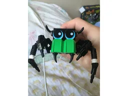 Cute Jumping Spider