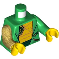 Torso, Odd Arms, Hoodie, Open over Bare Chest, Dark Green Belt Print, Left Green Arm, Right Pearl Gold Arm, Yellow Hands / Green