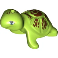 Animal, Turtle with Reddish Brown Spots Print / Lime