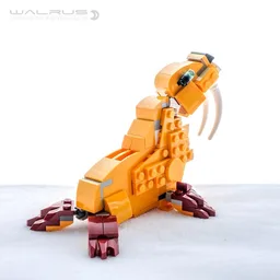 Walrus