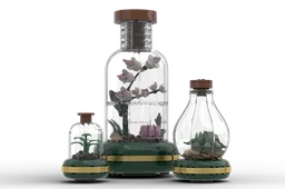 Botanical Terrariums