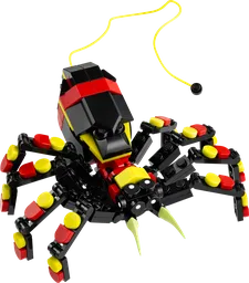 Wild Animals: Surprising Spider