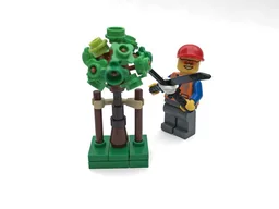Sapling Tree