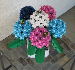 Hydrangea (BT009)