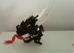 Dragon head