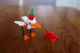 Seagull and Crab