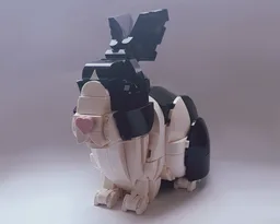 Dutch Rabbit