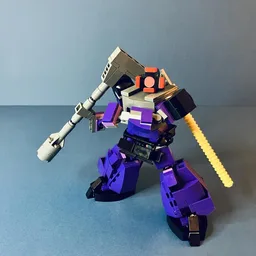 SF-013 DOM