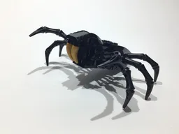 Black Spider