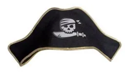 Pirate Hat