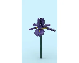 Iris Flower