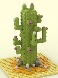 Cactus and Flowers