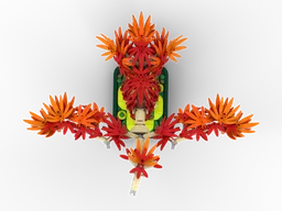 Maple Phoenix