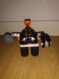 The robot