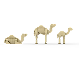 Camel