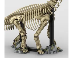 Brachiosaurus fossil