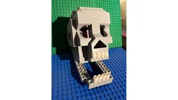 Skull