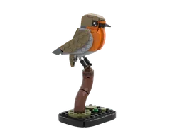 Robin