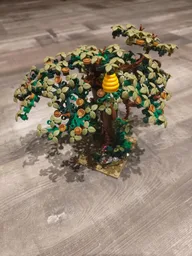 Oak tree