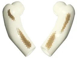 Arm, (Matching Left and Right) Pair Long with Dark Tan Dirt Stains Type 2 Pattern / White