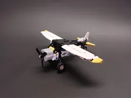 Small Bush Plane