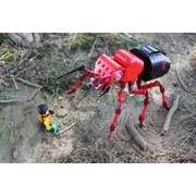 The Fire Ant Queen (V2)