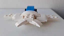 Arctic Sea Turtle