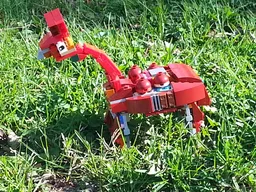Llama