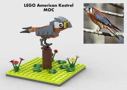 American Kestrel MOC