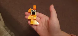 Orange Rabbit