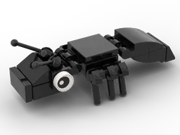 Ant