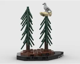 Pine Forest