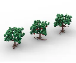 Apple Trees