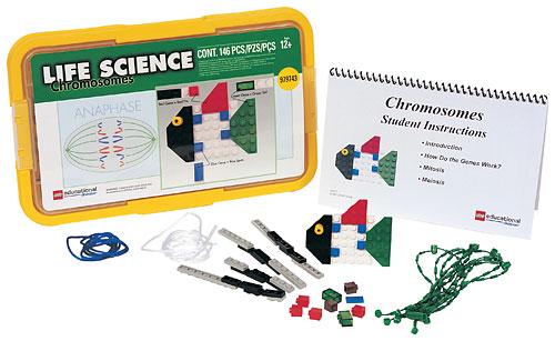 Lego Chromosomes - Student Set