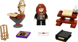 Hermione's Study Desk
