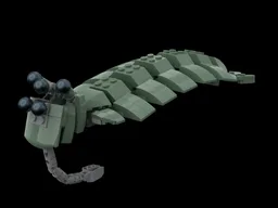 Opabinia regalis