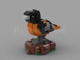 Baltimore Oriole