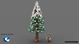 Spruce Tree