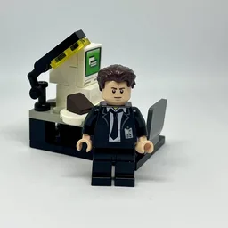 Agent Mulder's Computer